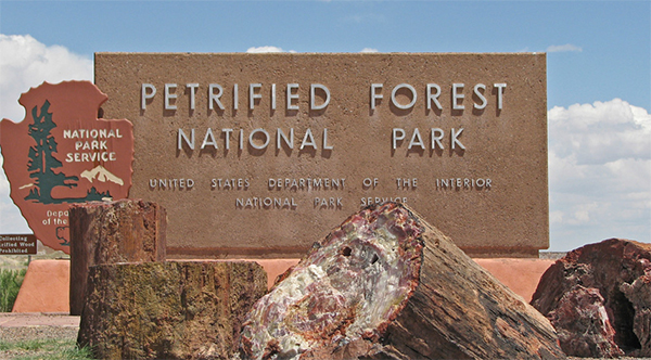 petrified-forest1